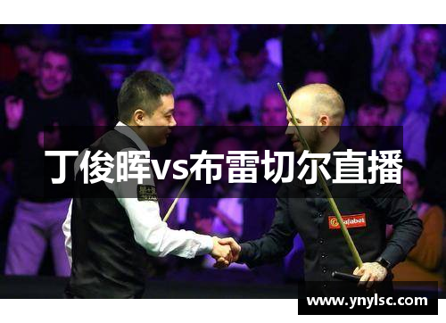 丁俊晖vs布雷切尔直播