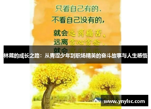林葳的成长之路：从青涩少年到职场精英的奋斗故事与人生感悟